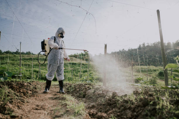 Best Ant Control Services  in Hurlock, MD