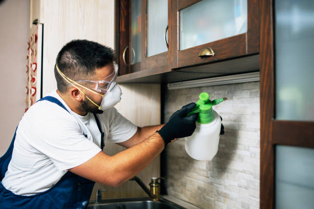 Best Mosquito Control Services  in Hurlock, MD