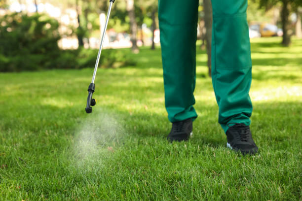 Best Wasp Removal Services  in Hurlock, MD