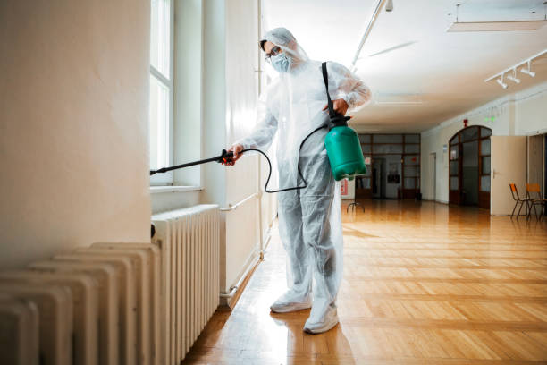 Best Termite Control Services  in Hurlock, MD
